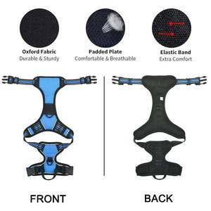 Arnés y Correa de Entrenamiento para Perros, Ajustables, Transpirables, Diseño Personalizado, OEM - Product Image 2