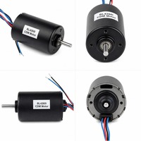 Moteur BLDC 12V 8,7W 1773 tr/min, couple élevé, cadre 42mm, instrument cosmétique, conforme ROHS BL4260I-V1