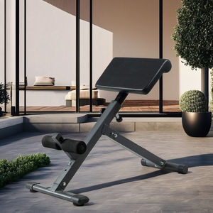 <span class=keywords><strong>Chaise</strong></span> romaine en acier de qualité commerciale, extension hyper inversée, banc d'exercice pour le bas du dos de haute technologie pour une utilisation à domicile - Product Image 1