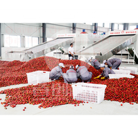 Elektrische warmtepomp PLC-gestuurde fruitdroogmachine met motor en continue banddrooginstallatie