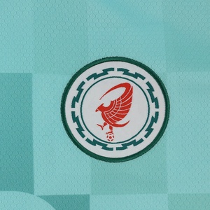 Healy Tùy Chỉnh Người Đàn Ông Thể Thao Mặc 2026 Bóng Đá Jersey Bóng Đá Áo Sơ Mi Đồng Phục Bộ Dụng Cụ Chất Lượng Cao Bóng Đá Mặc Nhà Sản Xuất - Product Image 5