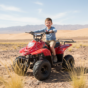 Quad pour enfants Tao Motor ATA110-B1, économique, 110cc, transmission automatique, transmission par chaîne, puissance 1000W - Product Image 6