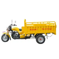 Moteur Kavaki de Haute Qualité, Grande Puissance, Trois Roues, Cargo, Gaz, Diesel, Tricycles Motorisés pour Personnes handicapées, 200cc, 250cc