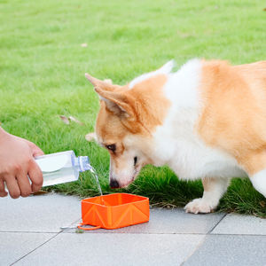 Sunraymascota 2025 Nouvelles couleurs personnalisées Bols de voyage pliables pour animaux de compagnie Bols de nourriture et d'eau pour chiens Bol en silicone pour chien - Product Image 4