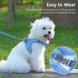 Arnés y Correa para Perros Pequeños al por Mayor, Conjunto Antitirones para Cachorros, Arnés Reflectante Ajustable Personalizado para Perros - Product Image 3