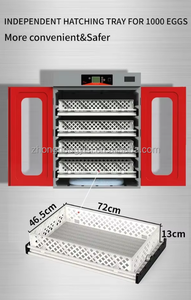Incubateur et éclosoir automatiques pour 1000 œufs / Équipement d'élevage de volailles pour ferme avicole - Product Image 4