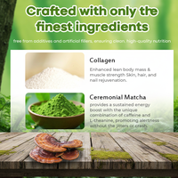 Capsules de Matcha OEM Reishi Collagen Latte, Matcha de qualité cérémonielle 5A, favorisent la santé de la peau, des cheveux et des ongles.