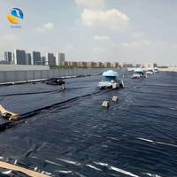 Lámina de Geomembrana de HDPE para Piscifactorías, Camaroneras, Revestimiento de Presas y Vertederos - Anti-UV, Duradera, Garantía de 5+ Años