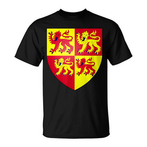 T-shirt avec le blason du Pays de Gal, drapeau souvenir, tee-shirt Cardiff - Product Image 2