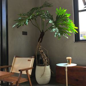 <span class=keywords><strong>Planta</strong></span> Artificial <span class=keywords><strong>Sen</strong></span> Space con Hojas de Taro y Escamas de Dragón, Decoración Minimalista para Interiores, Centros Comerciales y Salas de Estar - Product Image 5