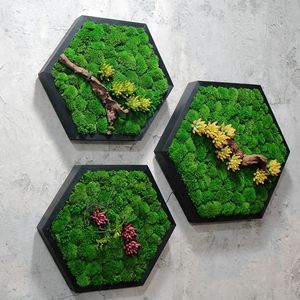 घरेलू सजावट कंपनी पृष्ठभूमि दीवार भूनिर्माण मोएस बहु-रंग सुपरमॉस संरक्षित मॉस थोक - Product Image 3