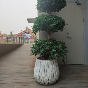 Pots de fleurs en <span class=keywords><strong>fibre</strong></span> d'argile de conception personnalisée jardinières avec plateau pour extérieur intérieur arbre plante pot décoration en gros Chine - Product Image 2