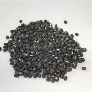 ถั่วดำขายส่ง <span class=keywords><strong>urad</strong></span> Mung beans กรัมสีดำ - Product Image 6