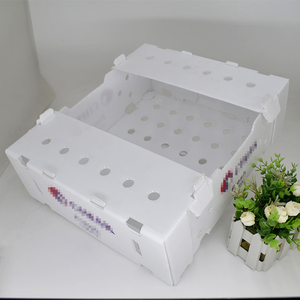 Free Sample Warehouse Picking Bins PP Corrugated Plastic Coroplast Box