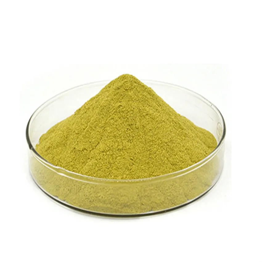 Polvo de jugo de hierba de trigo verde orgánico de productos saludables naturales de alta calidad