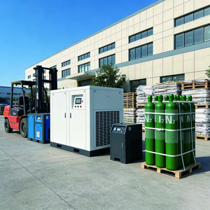 ציוד לייצור חנקן 3-1000 מטר מעוקב לשעה, איכותי לאריזת מזון, מתקן PSA לייצור חנקן, טוהר 99.99%, מחולל חנקן PSA - Product Image 3