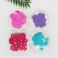 Fleurs séchées pressées pour fabrication de bijoux, 50 pièces, en résine, pour faire soi-même, R460