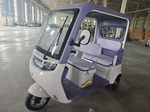 Kanopi <span class=keywords><strong>Trike</strong></span> kargo listrik 1000W, daya Motor 1000W, kapasitas muatan 400kg, bahan baja 60v, sepeda roda tiga penumpang - Product Image 4