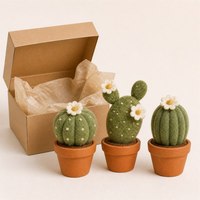 Ensemble d'ornements de bureau en cactus feutrés à la main, mini-succulentes en laine, cadeau d'anniversaire, décoration d'intérieur, vente en gros