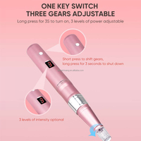 Vente directe d'usine, appareil sans fil professionnel, stylo à micro-aiguilles électriques pour micro-aiguilletage, tatouage et maquillage permanent