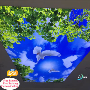 Papel pintado de lujo Mural 3D <span class=keywords><strong>Cielo</strong></span> azul Nubes blancas Paloma Naturaleza Paisaje Foto Techos elásticos para Villa - Product Image 1