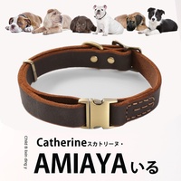 Collier pour chien réglable en cuir, style décontracté, anti-perte, gravure personnalisable, fermeture à boucle, utilisation toutes saisons