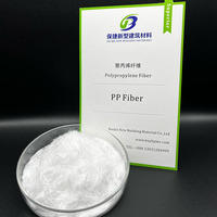 Factory Priced Polypropylene Fiber Additive for Efficient Concrete Strengthening Long-Term Stability Flexibility for Filling