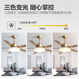 Minimalist Stainless Steel <b>Ceiling</b> Fan <b>Light</b> 56 Inch <b>Led</b> Fixed Blade For Living Room And Study - Product Image 2