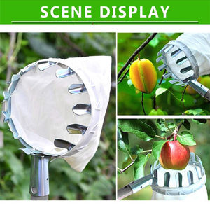 Poteau de cueilleur de fruits avec panier télescopique, outil de cueilleur de fruits réglable - Product Image 4