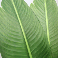Tanaman Monstera Buatan untuk Dekorasi Rumah, Daun Simulasi Realistis, Tanaman Hias Dalam Ruangan