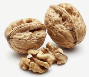 Nueces enteras crudas con cáscara, color marrón, forma natural, frescas, orgánicas, DALAI IMPEX Orissa - Product Image 1