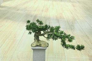 Plantes Artificielles Bonsaï Pin Artificiel pour la Maison, Plantes en Pot d'Accueil, Pin <span class=keywords><strong>Japonais</strong></span> pour Décoration de Bureau et <span class=keywords><strong>Jardin</strong></span> - Product Image 2