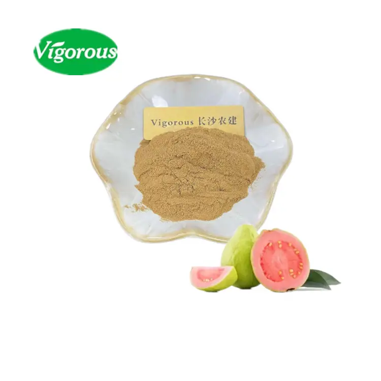 Nhà Sản Xuất Psidium Guajava Bột Lá Chất Lượng Cao Chiết Xuất Lá Ổi