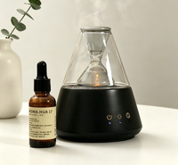 Diffuseur d'huiles essentielles en verre rafraîchissant avec parfum frais, atomiseur ultrasonique sans alcool, cadeau haut de gamme pour la maison