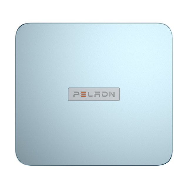Peladn Commercial Office Game Console High Cost Performance Mini Pc WI-6 Intel N100 Processor Computer Pc 8G DDR4 256gb