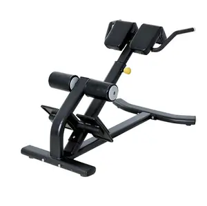 핫 세일 도매 상업 체육관 장비 벤치 프레스 다기능 로마 의자 복부 및 지느러미 근육 트레이너