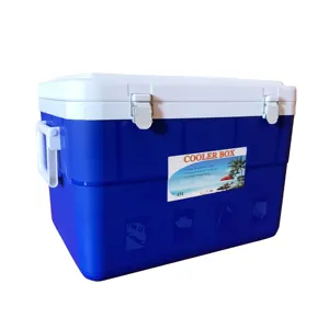 Nhựa PP Ngoài Trời Cắm Trại Câu Cá 45L EPS Cooler Box Với Kim Loại Khóa