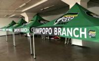 Impression numérique personnalisée, drapeaux de campagne ANC, t-shirts, chapeaux, styles variés, marchandises électorales politiques d'Afrique du Sud, en gros