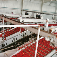 Automatische tomatenketchup productielijn complete sausverwerkingsinstallatie concentratie menging sterilisatie vulapparatuur