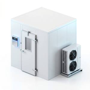 Cella Frigorifera Professionale con Raffreddamento ad Aria da -18°C a -25°C, Stoccaggio Modulare per Alimenti Congelati, Vaccini e Medicinali - Product Image 2