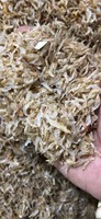 Crevettes et écrevisses séchées de marque premium, petite taille, origine An Giang, durée de conservation de 24 mois - 0084989322607 WhatsApp/WeChat