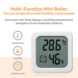 Mini thermomètre et hygromètre numérique portables pour l'intérieur, testeur de température et d'humidité pour usage domestique - Product Image 2