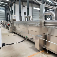 High-end volautomatische industriële lijn voor de verwerking van diepvries gemberfrietjes, 7200 kg/u, multifunctioneel voor fruit en groenten