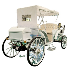 Carruajes de Caballos Nuevos a la Venta, Carruajes Eléctricos Estilo Cenicienta, Precio de Fábrica - Product Image 1