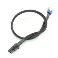 Kabel Molex Mega-fit dengan pelindung kepala kabel 2 Pin ke Terminal Ring 4MM 2004561212