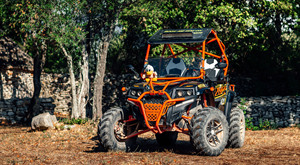 FX Predator400cc approuvé essence route légale buggies côte à côte 2 places dune <span class=keywords><strong>buggy</strong></span> <span class=keywords><strong>400cc</strong></span> utv 4x2 4X4 - Product Image 4