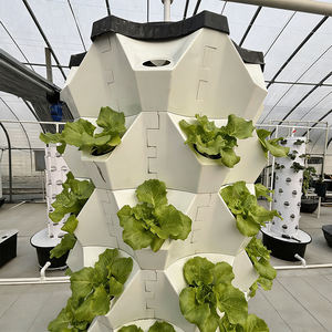 Systèmes de jardinage vertical Skyplant, tours aéroponiques pour la culture d'ananas, tours hydroponiques pour la culture de plantes et de légumes. - Product Image 5