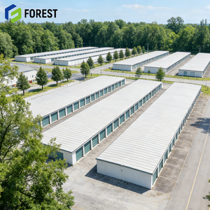 Edificio de Estructura de Acero para Tienda Minorista, Almacén, Apartamento, Solución Integral, Duradero, Confiable, Soporte Profesional - Product Image 1