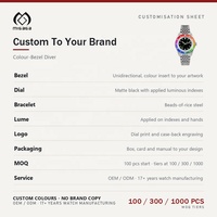 Montre de plongée OEM, insert de lunette de couleur personnalisée, logo, verre saphir, étanche 200 m, montre-bracelet à marque privée, montre automatique