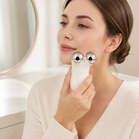 Masseur facial à micro-courant 5 niveaux, double rouleau pour le visage et le cou, appareil de beauté rechargeable Type C pour usage domestique OEM ODM